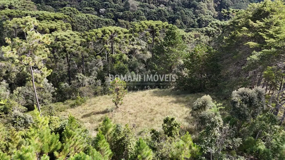 Terreno / Lote à venda em Campos Do Jordao - SP - imagem 9 Foto 9 de Terreno / Lote à venda em Campos Do Jordao - SP