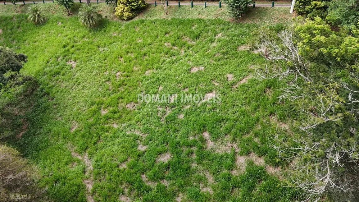 Foto 7 de Terreno / Lote à venda, 1035m2 em Santo Antonio Do Pinhal - SP