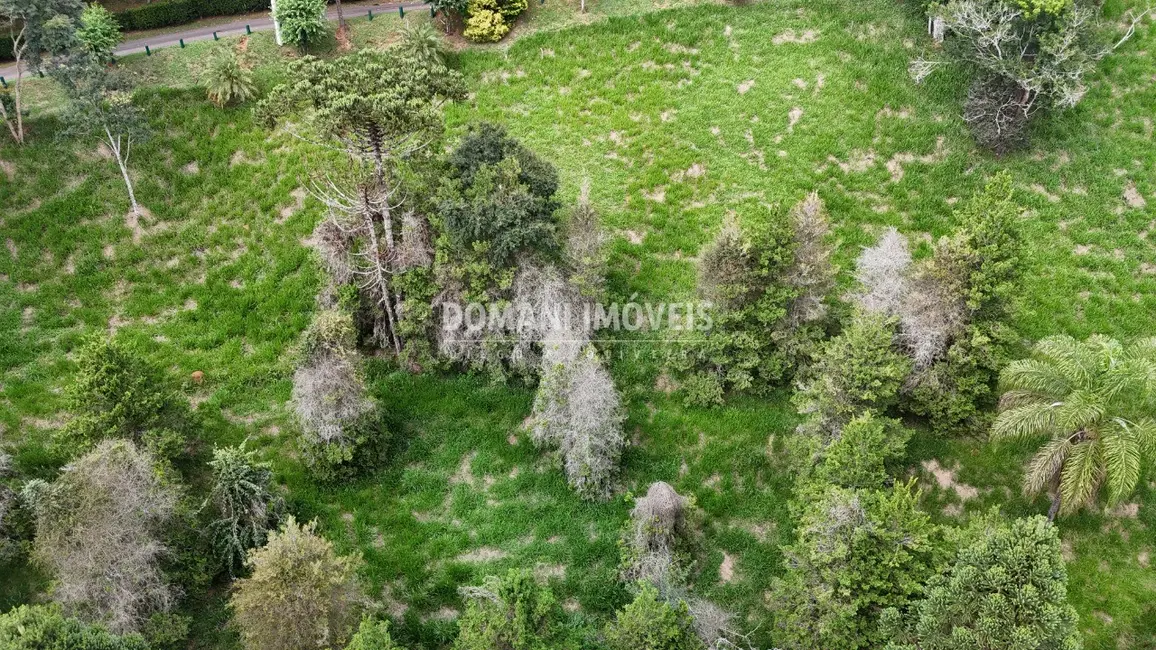 Foto 8 de Terreno / Lote à venda, 1035m2 em Santo Antonio Do Pinhal - SP