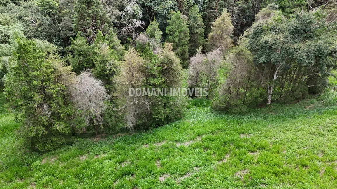 Foto 5 de Terreno / Lote à venda, 1035m2 em Santo Antonio Do Pinhal - SP