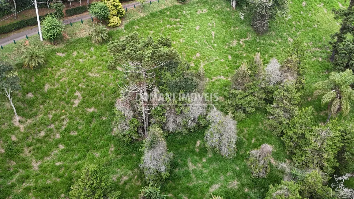 Foto 2 de Terreno / Lote à venda, 1035m2 em Santo Antonio Do Pinhal - SP