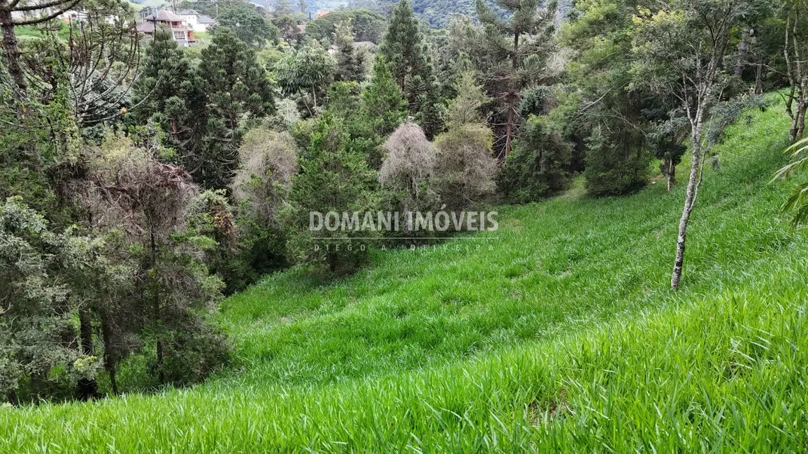 Foto 3 de Terreno / Lote à venda, 1735m2 em Santo Antonio Do Pinhal - SP