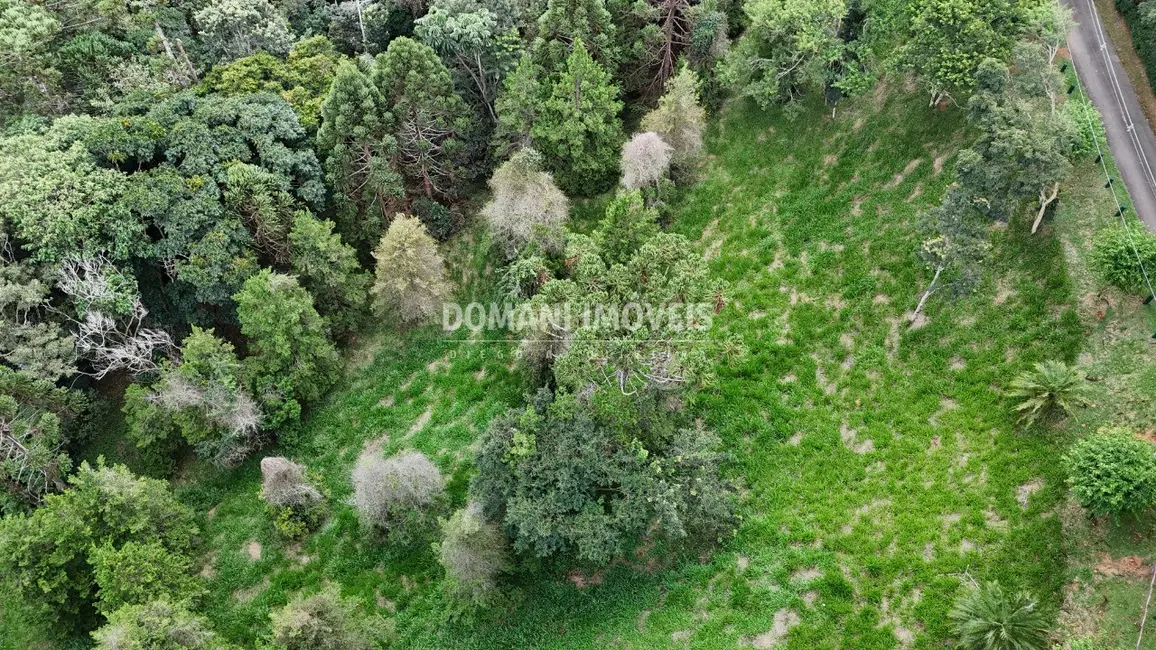 Foto 7 de Terreno / Lote à venda, 1735m2 em Santo Antonio Do Pinhal - SP