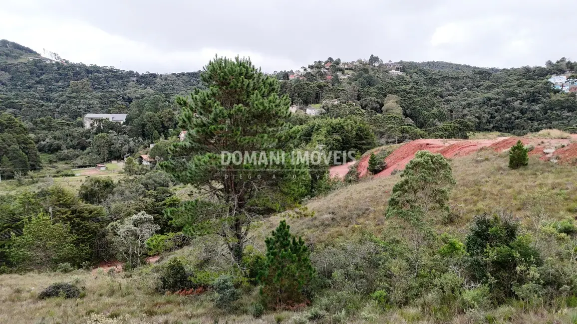 Foto 4 de Terreno / Lote à venda, 1650m2 em Campos Do Jordao - SP