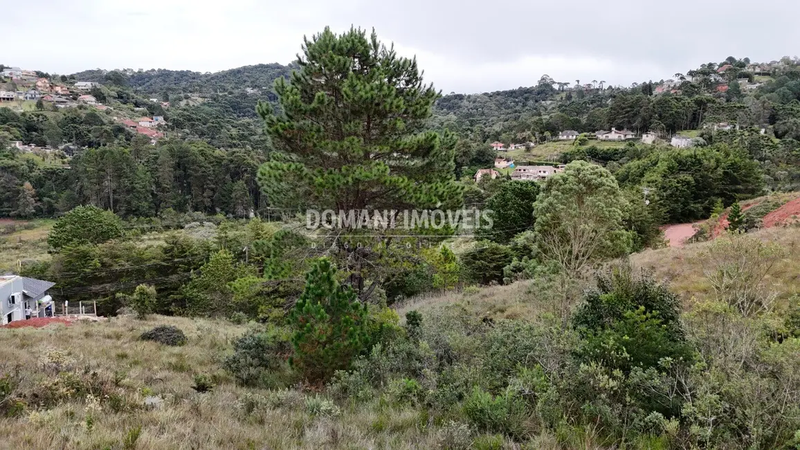 Foto 8 de Terreno / Lote à venda, 1650m2 em Campos Do Jordao - SP