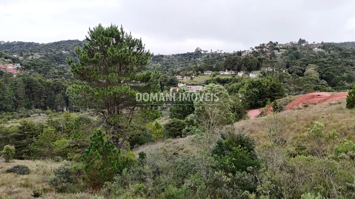 Foto 7 de Terreno / Lote à venda, 1650m2 em Campos Do Jordao - SP