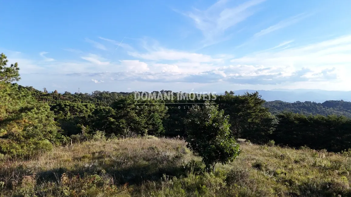 Foto 5 de Terreno / Lote à venda, 3450m2 em Campos Do Jordao - SP