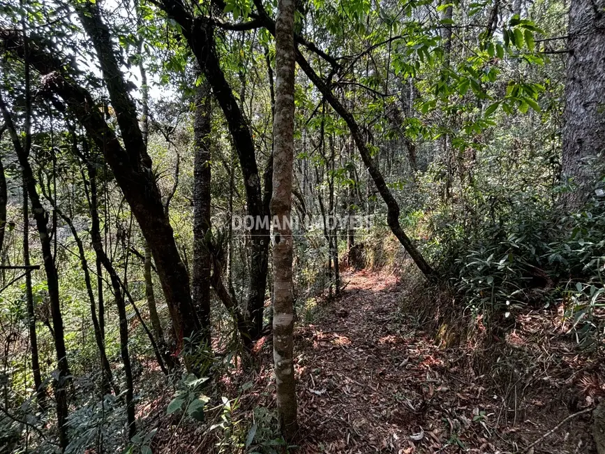 Foto 9 de Terreno / Lote à venda em Campos Do Jordao - SP
