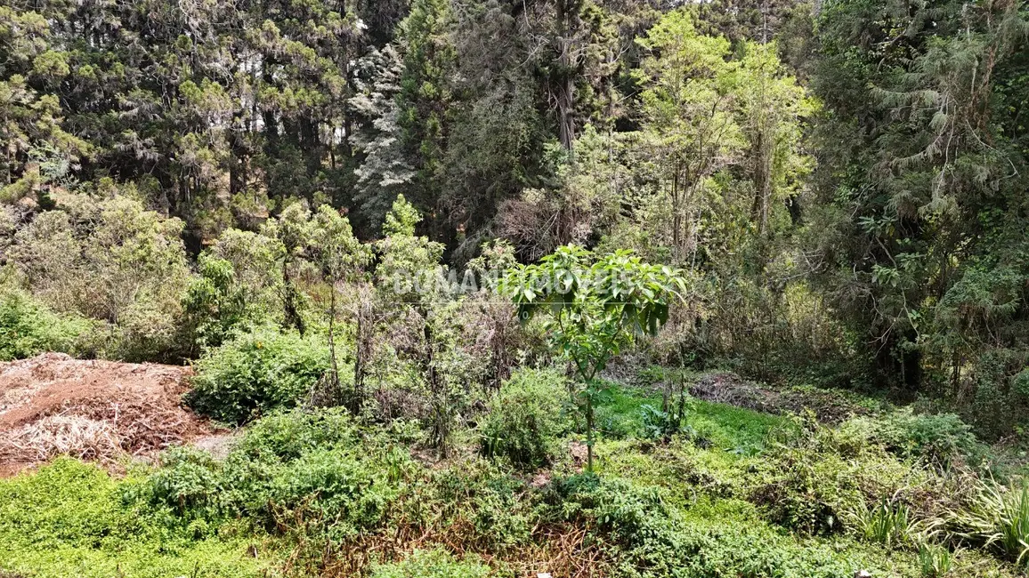Foto 6 de Terreno / Lote à venda em Campos Do Jordao - SP