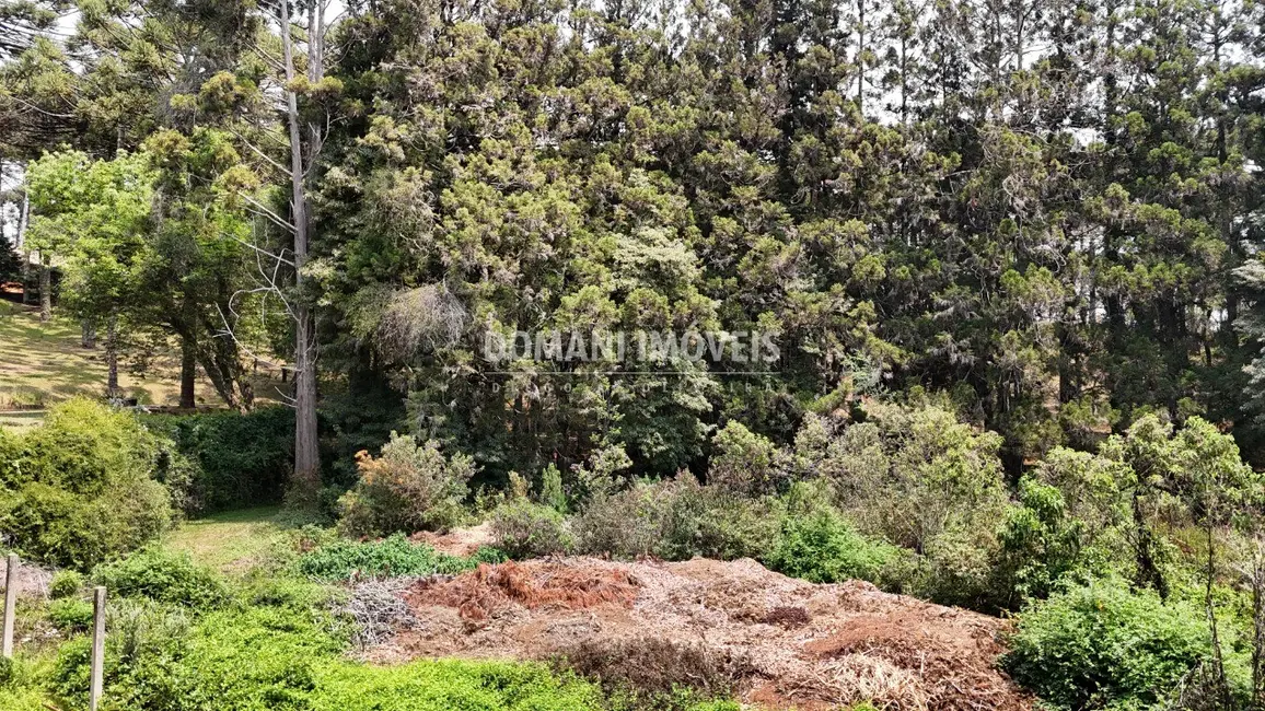 Foto 3 de Terreno / Lote à venda em Campos Do Jordao - SP