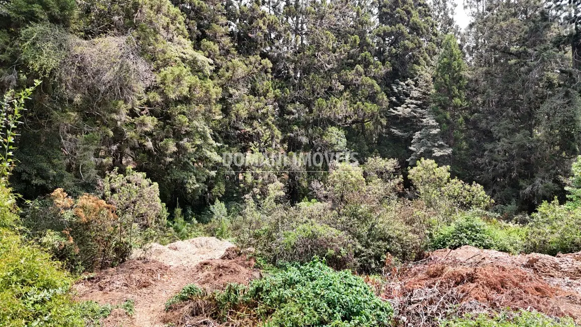 Foto 7 de Terreno / Lote à venda em Campos Do Jordao - SP