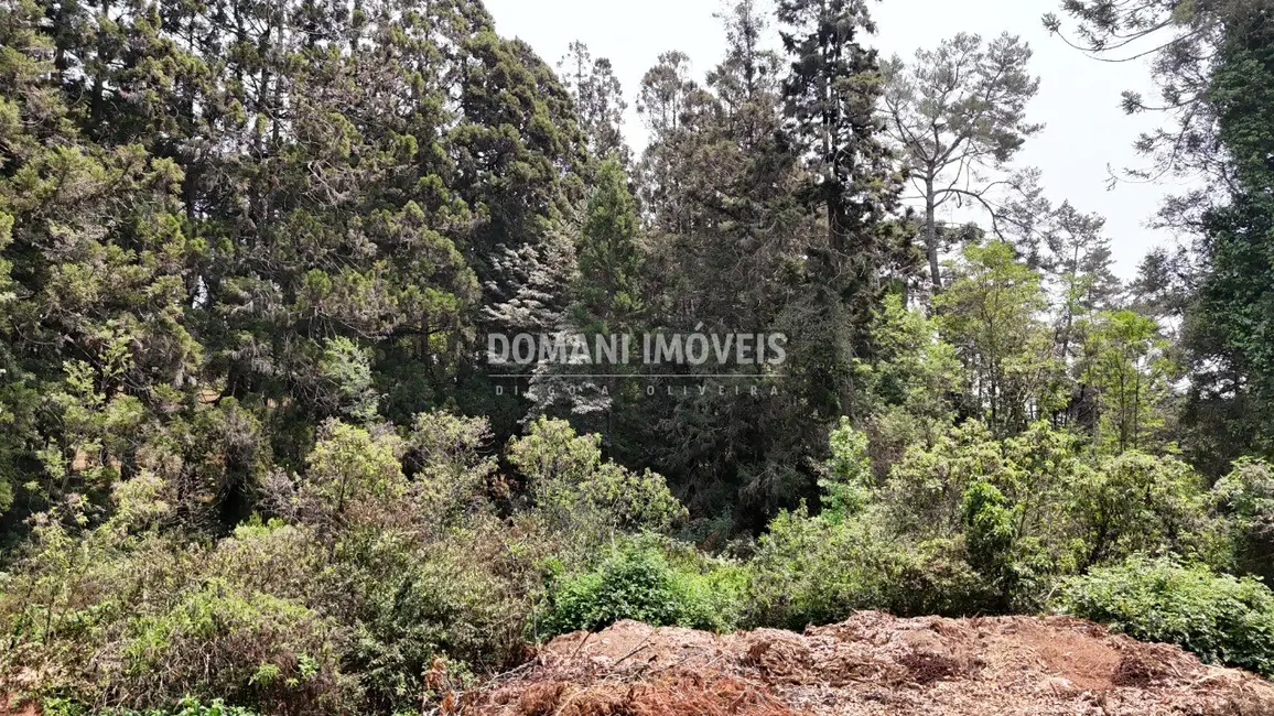 Foto 4 de Terreno / Lote à venda em Campos Do Jordao - SP