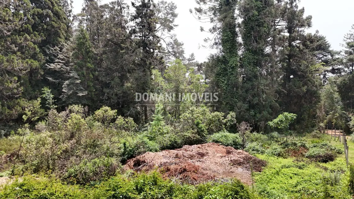 Foto 1 de Terreno / Lote à venda em Campos Do Jordao - SP