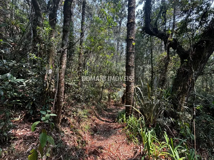 Foto 8 de Terreno / Lote à venda em Campos Do Jordao - SP
