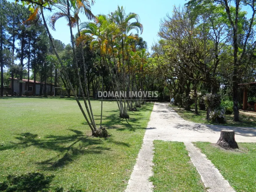 Sala Comercial com 9 quartos à venda, 1000m2 em Pindamonhangaba - SP - imagem 5 Foto 5 de Sala Comercial com 9 quartos à venda, 1000m2 em Pindamonhangaba - SP