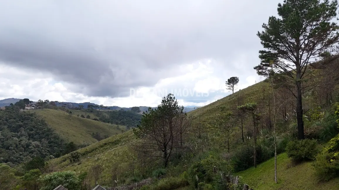 Casa com 4 quartos à venda, 295m2 em Campos Do Jordao - SP - imagem 7 Foto 7 de Casa com 4 quartos à venda, 295m2 em Campos Do Jordao - SP