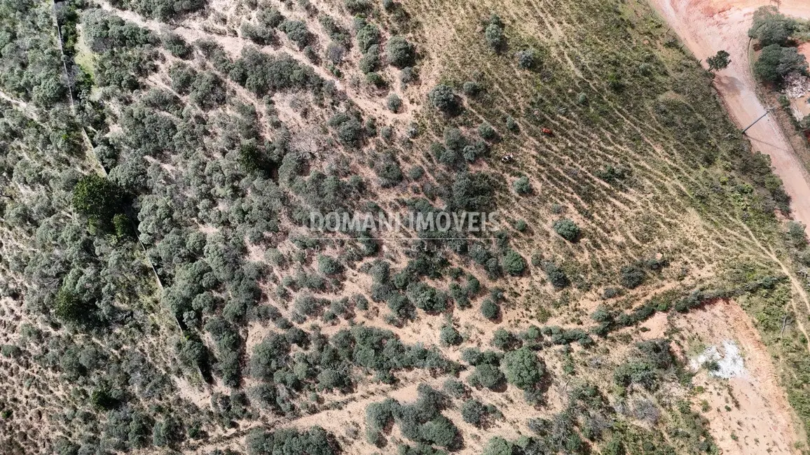 Foto 4 de Terreno / Lote à venda, 5510m2 em Campos Do Jordao - SP