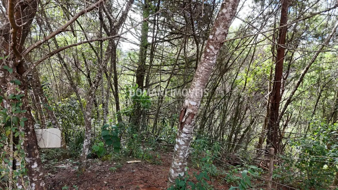 Foto 1 de Terreno / Lote à venda, 965m2 em Campos Do Jordao - SP