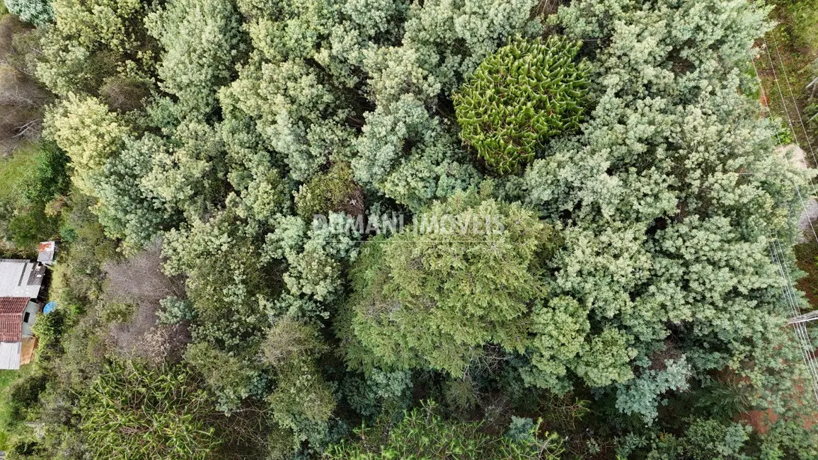 Foto 8 de Terreno / Lote à venda, 965m2 em Campos Do Jordao - SP