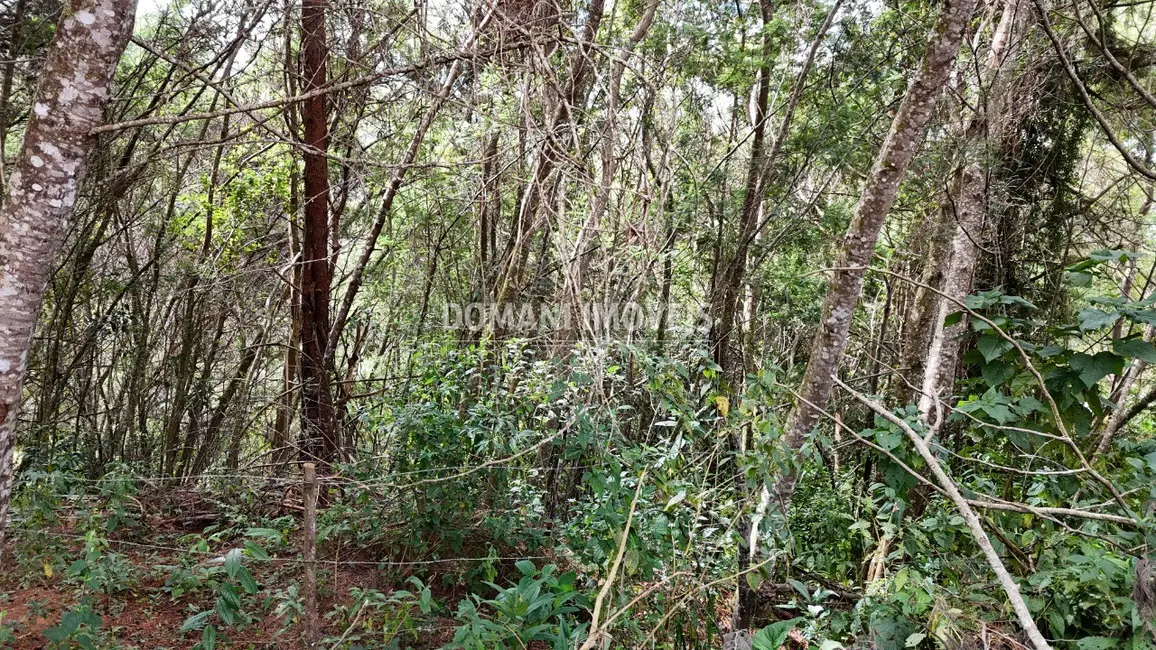 Foto 4 de Terreno / Lote à venda, 965m2 em Campos Do Jordao - SP