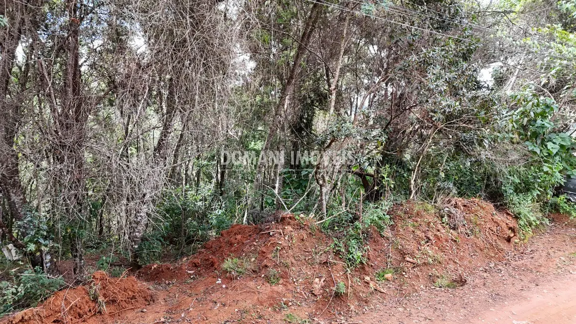 Foto 7 de Terreno / Lote à venda, 965m2 em Campos Do Jordao - SP