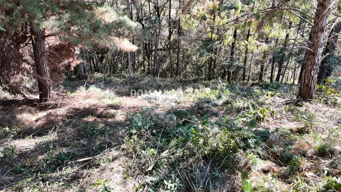 Terreno / Lote à venda, 1080m2 em Campos Do Jordao - SP - imagem 7 Foto 7 de Terreno / Lote à venda, 1080m2 em Campos Do Jordao - SP
