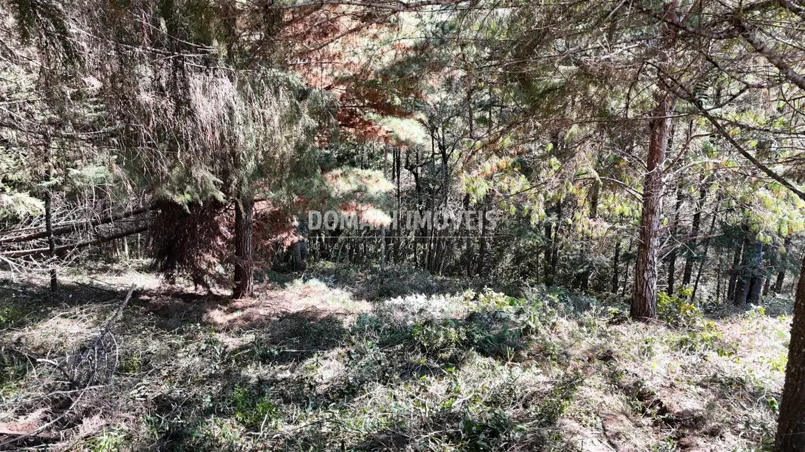 Terreno / Lote à venda, 1080m2 em Campos Do Jordao - SP - imagem 6 Foto 6 de Terreno / Lote à venda, 1080m2 em Campos Do Jordao - SP
