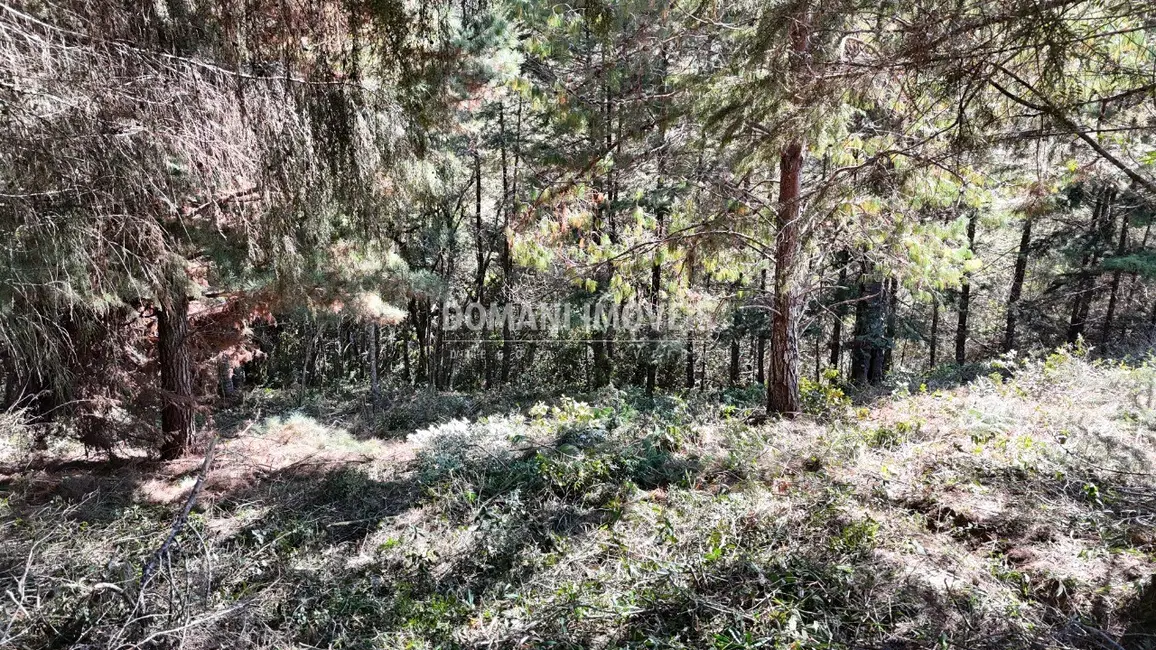 Terreno / Lote à venda, 1080m2 em Campos Do Jordao - SP - imagem 9 Foto 9 de Terreno / Lote à venda, 1080m2 em Campos Do Jordao - SP