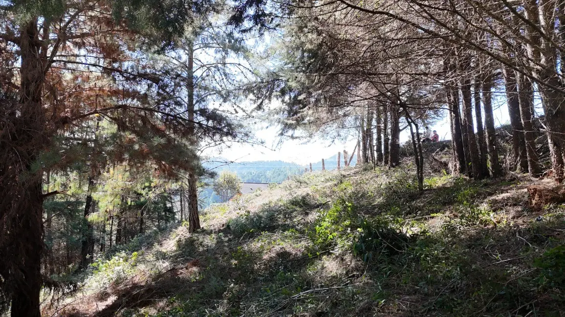 Terreno / Lote à venda, 1080m2 em Campos Do Jordao - SP - imagem 8 Foto 8 de Terreno / Lote à venda, 1080m2 em Campos Do Jordao - SP