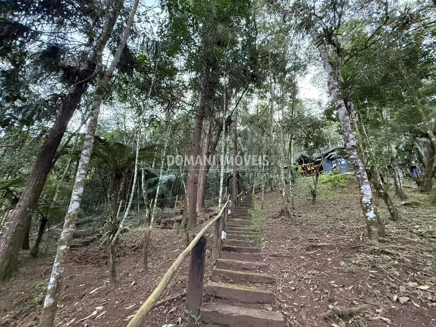 Foto 6 de Casa com 3 quartos à venda, 100m2 em Campos Do Jordao - SP
