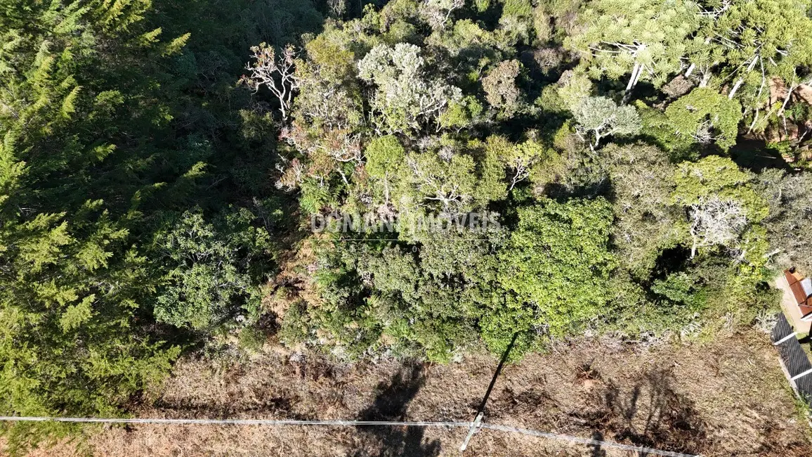 Foto 8 de Terreno / Lote à venda, 1105m2 em Campos Do Jordao - SP