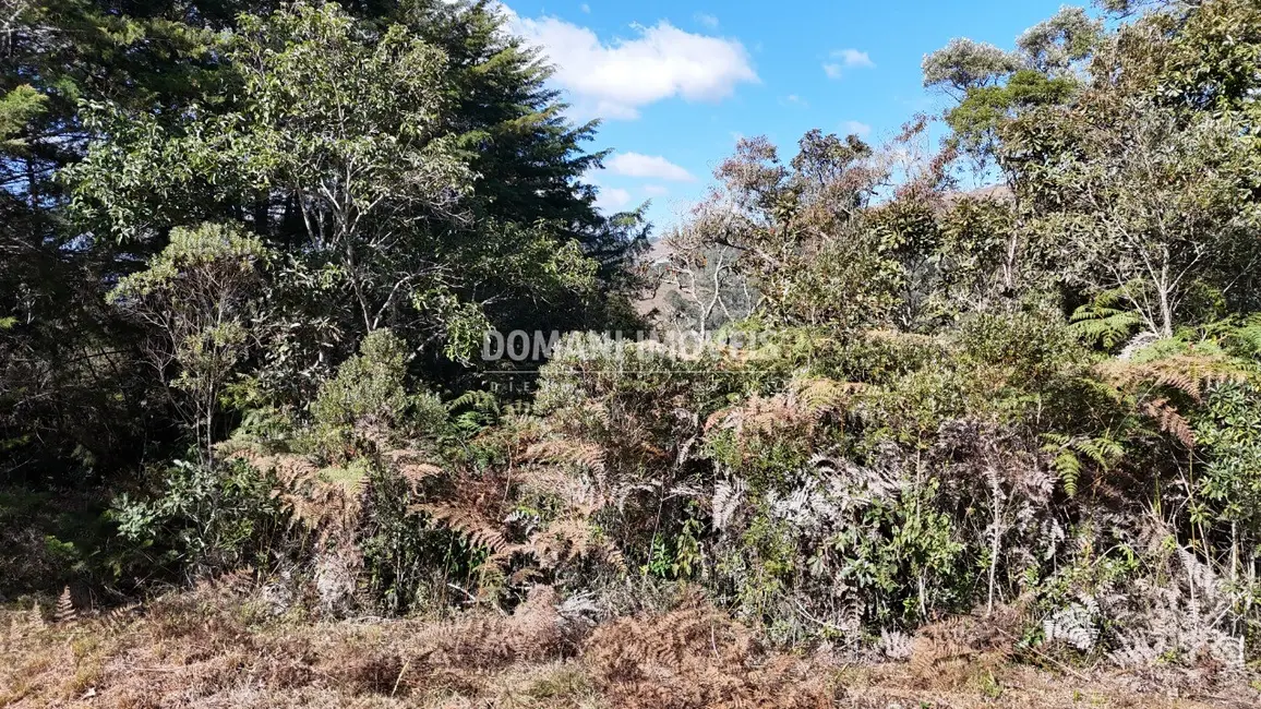 Foto 1 de Terreno / Lote à venda, 1105m2 em Campos Do Jordao - SP
