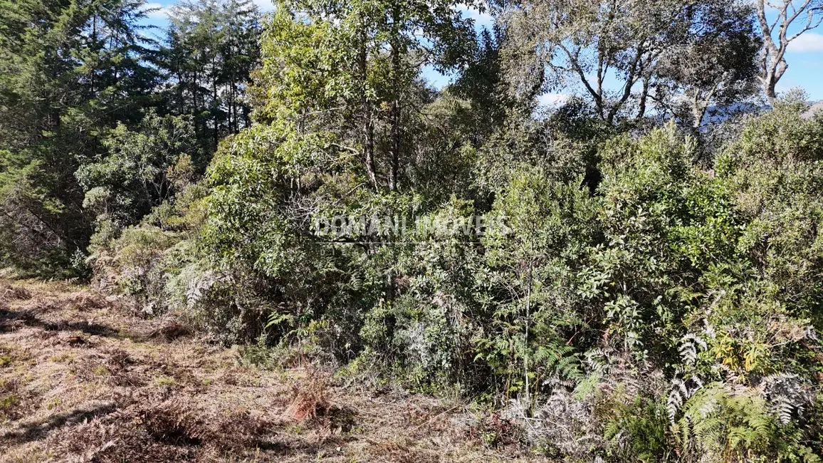Foto 4 de Terreno / Lote à venda, 1105m2 em Campos Do Jordao - SP