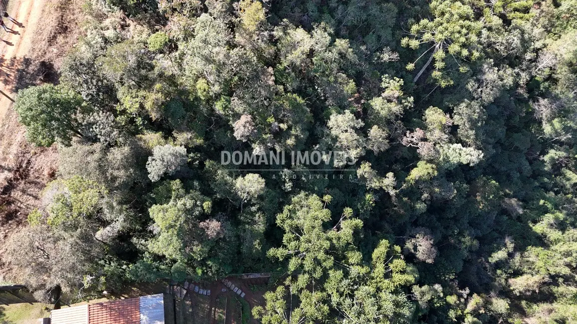 Foto 7 de Terreno / Lote à venda, 1105m2 em Campos Do Jordao - SP