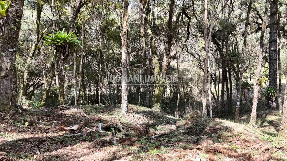 Foto 8 de Casa com 3 quartos à venda, 250m2 em Campos Do Jordao - SP