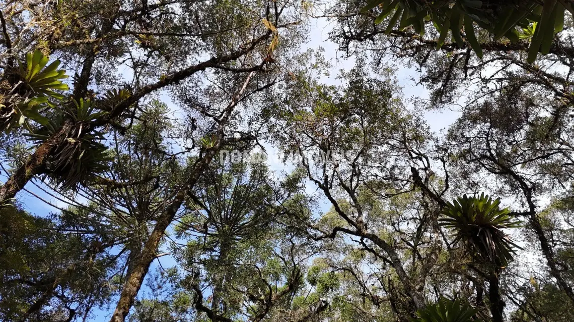 Foto 9 de Casa com 3 quartos à venda, 250m2 em Campos Do Jordao - SP