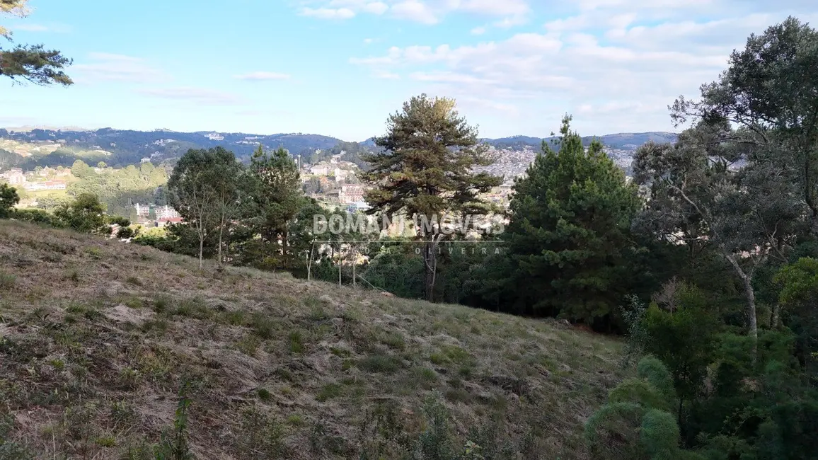 Foto 3 de Terreno / Lote à venda, 5535m2 em Campos Do Jordao - SP