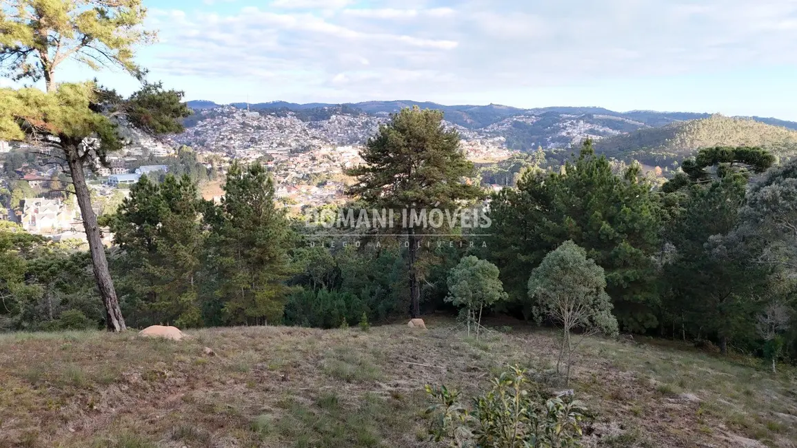 Foto 4 de Terreno / Lote à venda, 5535m2 em Campos Do Jordao - SP
