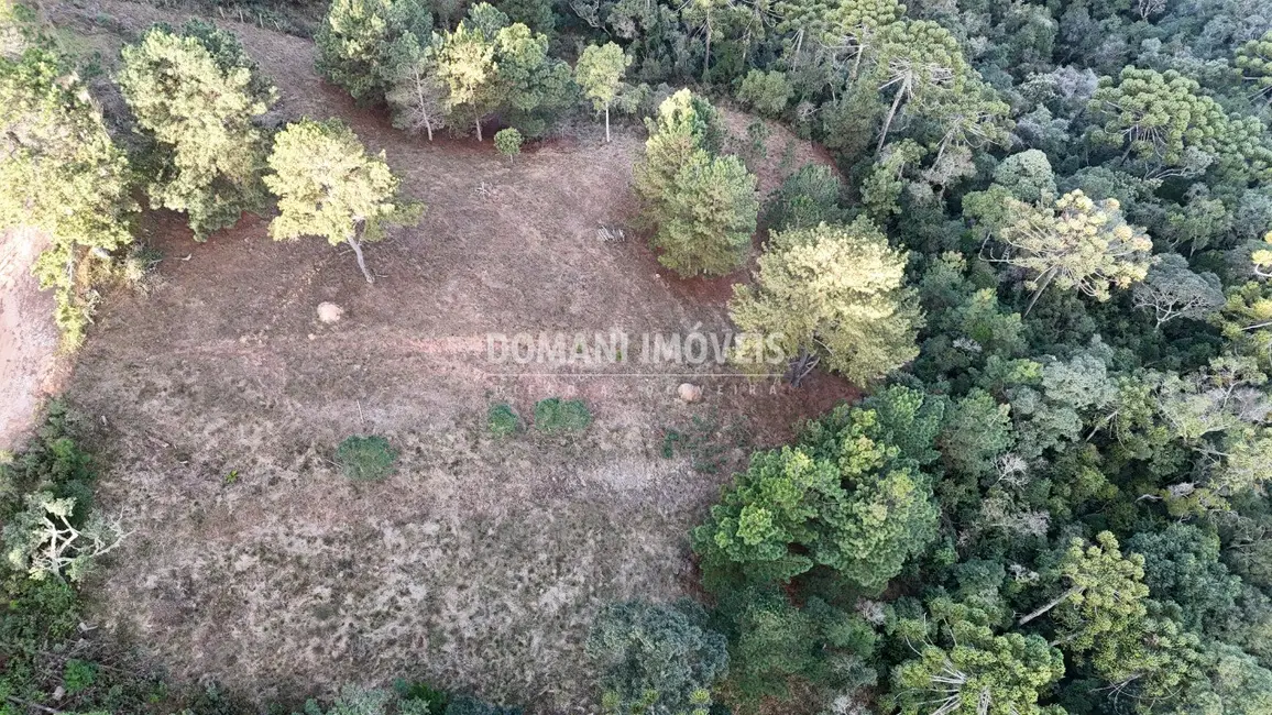 Foto 9 de Terreno / Lote à venda, 5535m2 em Campos Do Jordao - SP