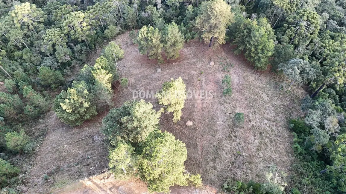 Foto 5 de Terreno / Lote à venda, 5535m2 em Campos Do Jordao - SP