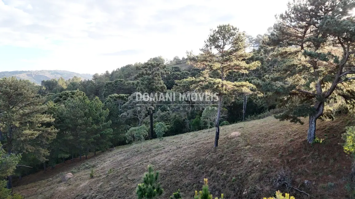 Foto 2 de Terreno / Lote à venda, 5535m2 em Campos Do Jordao - SP