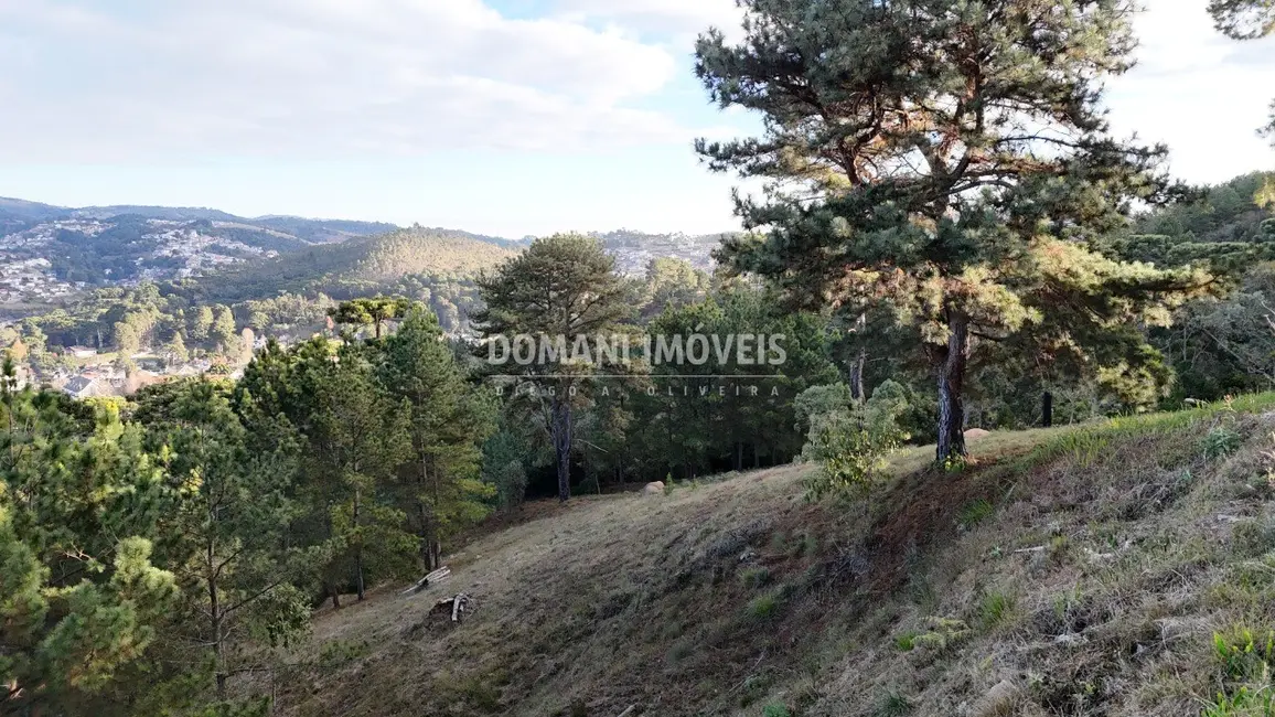 Foto 8 de Terreno / Lote à venda, 5535m2 em Campos Do Jordao - SP