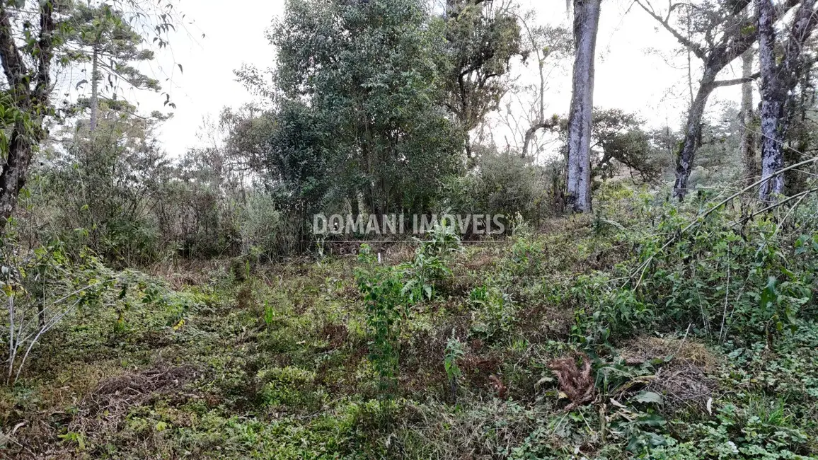 Terreno / Lote à venda, 1030m2 em Campos Do Jordao - SP - imagem 5 Foto 5 de Terreno / Lote à venda, 1030m2 em Campos Do Jordao - SP