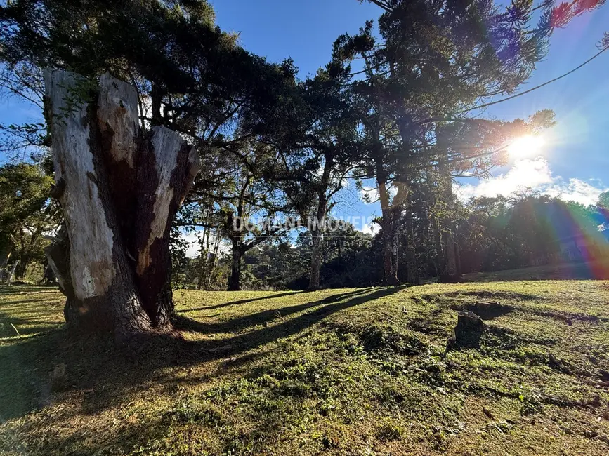 Foto 4 de Terreno / Lote à venda, 1030m2 em Campos Do Jordao - SP