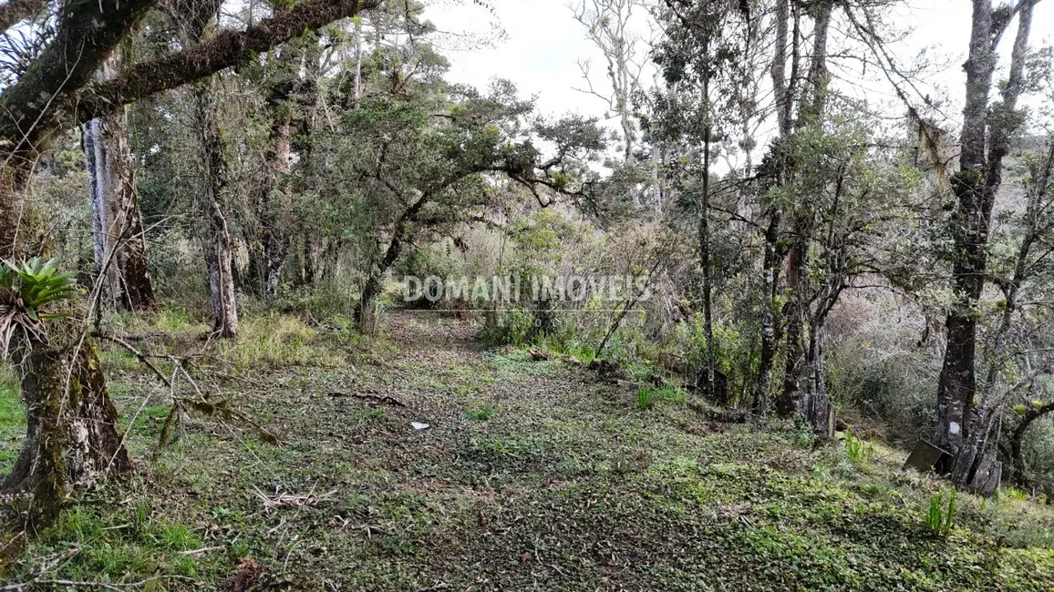 Terreno / Lote à venda, 1030m2 em Campos Do Jordao - SP - imagem 1 Foto 1 de Terreno / Lote à venda, 1030m2 em Campos Do Jordao - SP