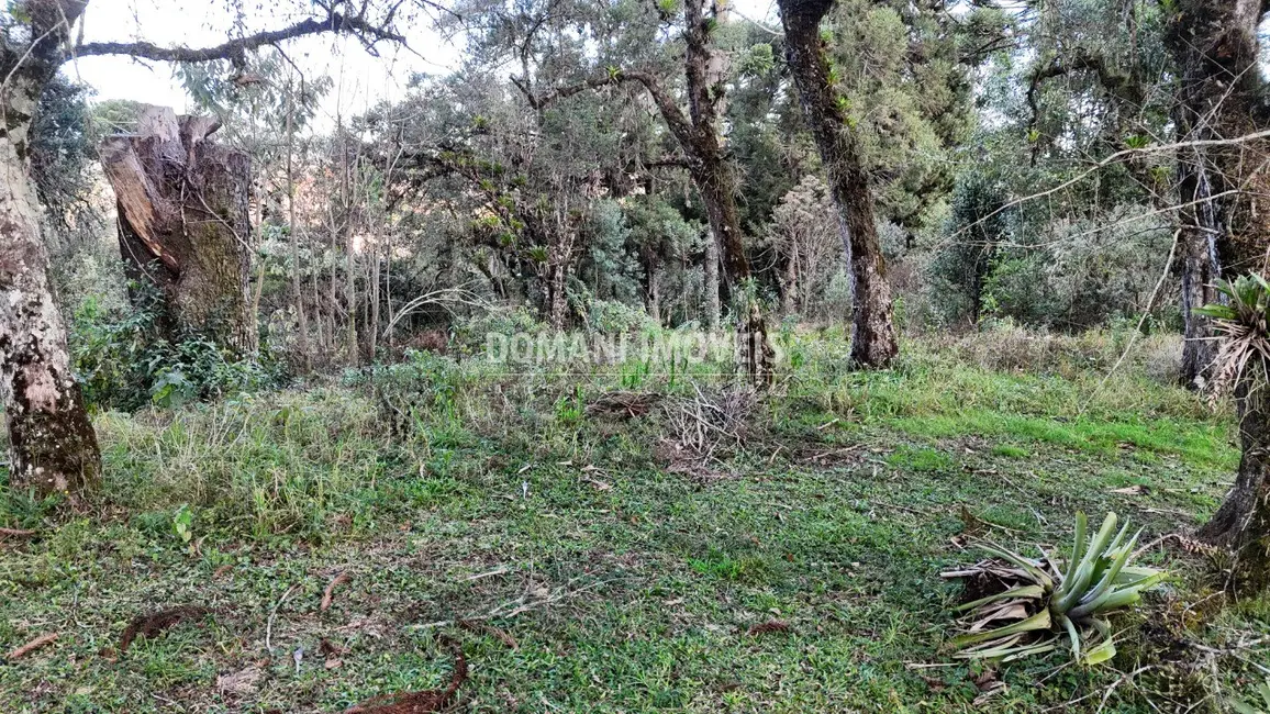 Terreno / Lote à venda, 1030m2 em Campos Do Jordao - SP - imagem 8 Foto 8 de Terreno / Lote à venda, 1030m2 em Campos Do Jordao - SP