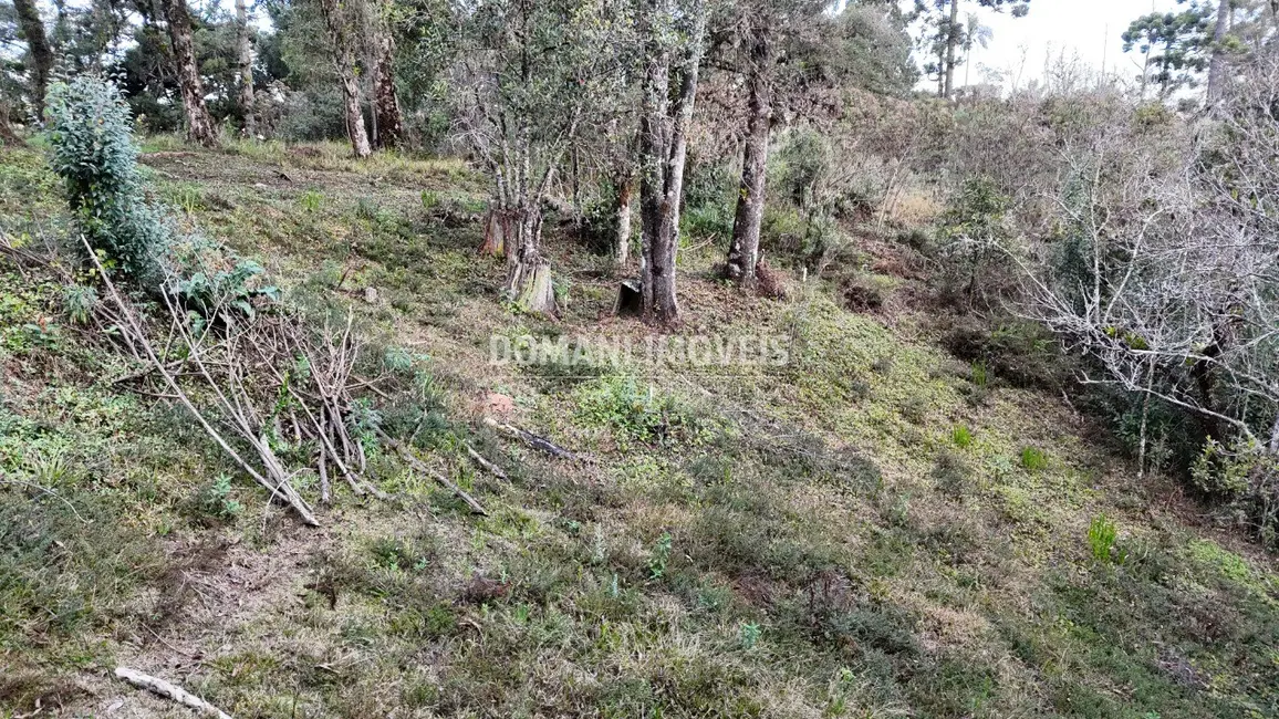 Terreno / Lote à venda, 1030m2 em Campos Do Jordao - SP - imagem 4 Foto 4 de Terreno / Lote à venda, 1030m2 em Campos Do Jordao - SP