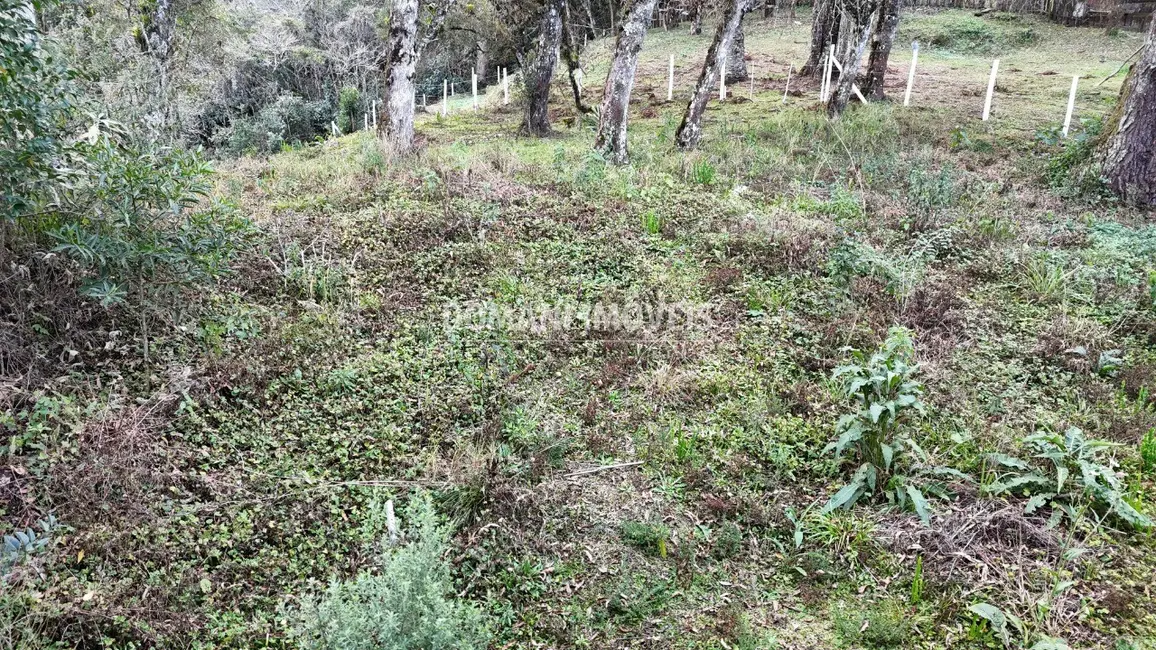 Terreno / Lote à venda, 1030m2 em Campos Do Jordao - SP - imagem 3 Foto 3 de Terreno / Lote à venda, 1030m2 em Campos Do Jordao - SP