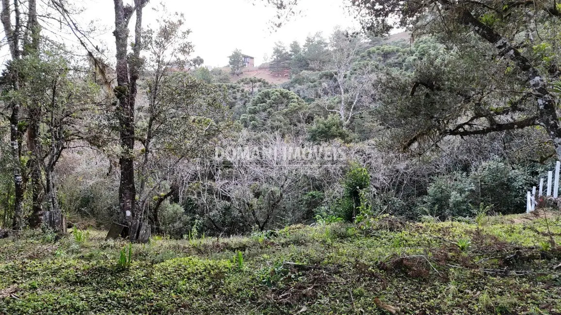 Terreno / Lote à venda, 1030m2 em Campos Do Jordao - SP - imagem 2 Foto 2 de Terreno / Lote à venda, 1030m2 em Campos Do Jordao - SP