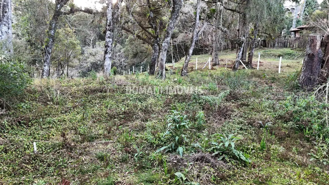 Terreno / Lote à venda, 1030m2 em Campos Do Jordao - SP - imagem 9 Foto 9 de Terreno / Lote à venda, 1030m2 em Campos Do Jordao - SP